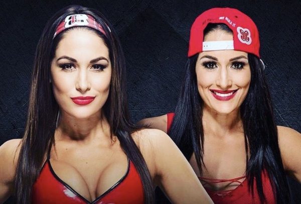 Le retour des Bella Twins , un flop ?