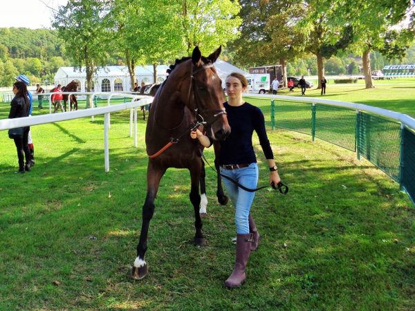 La jeune fille qui murmurait à l’oreille des chevaux