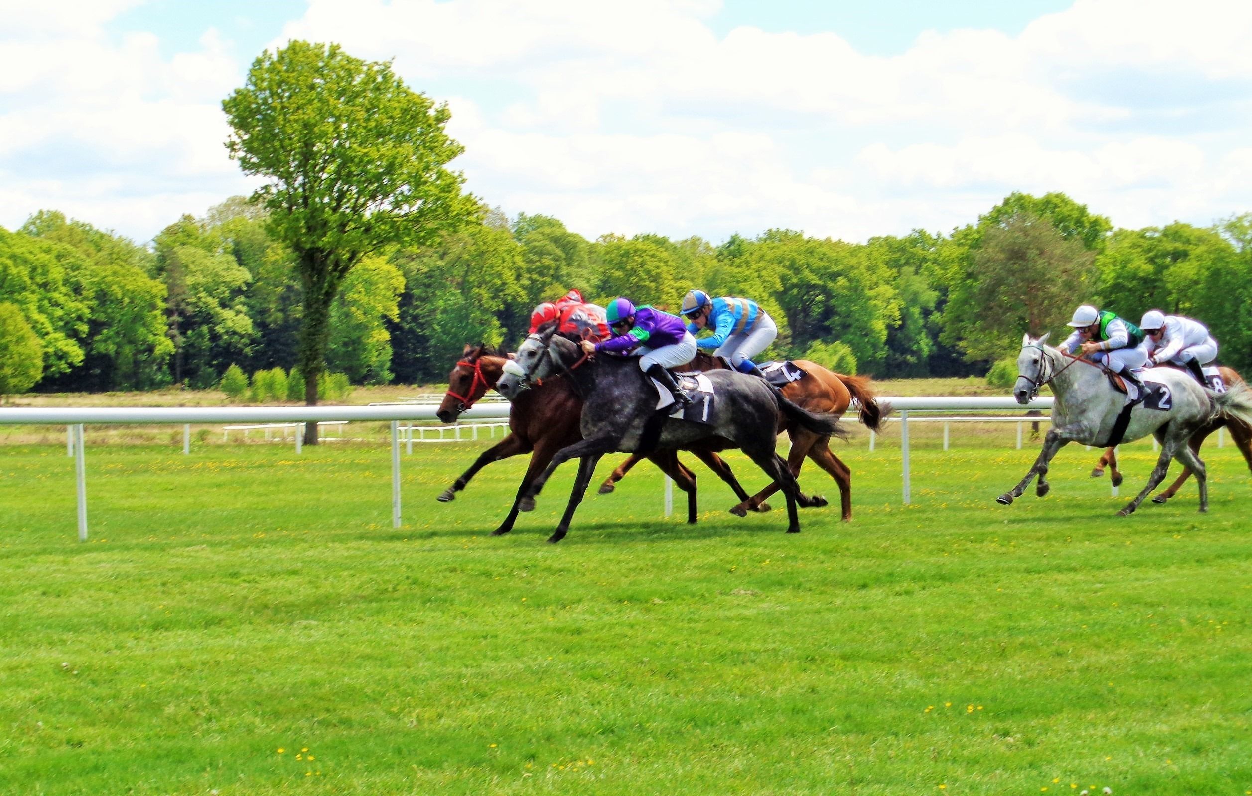 Hippodrome du Pin au Haras: les courses hippiques à l’état pur