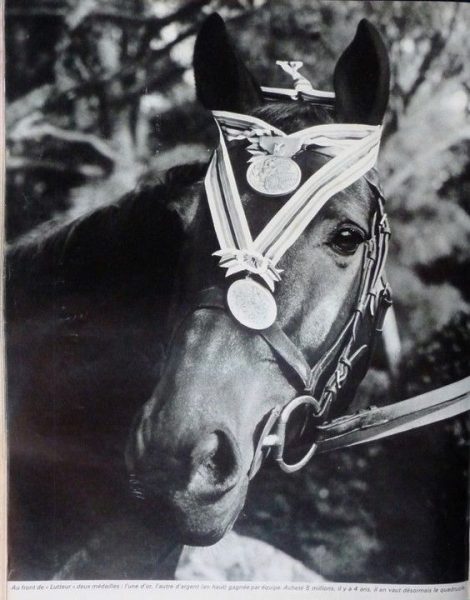 Quand un cheval sauve l’honneur de la France !