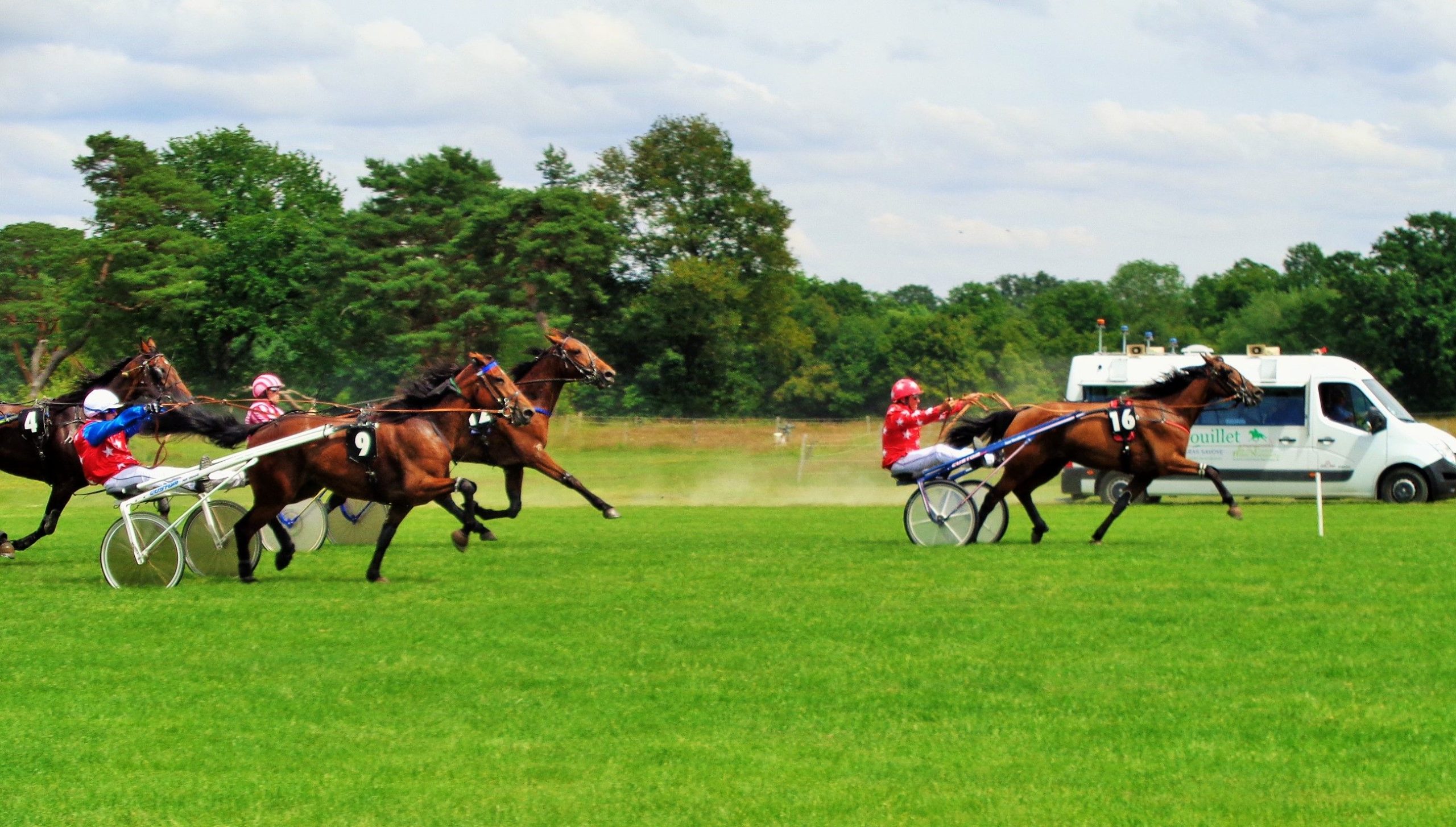Hippodrome de Rambouillet : d’amateurs à professionnels