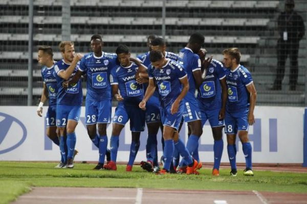 Niort, un chamois qui rumine