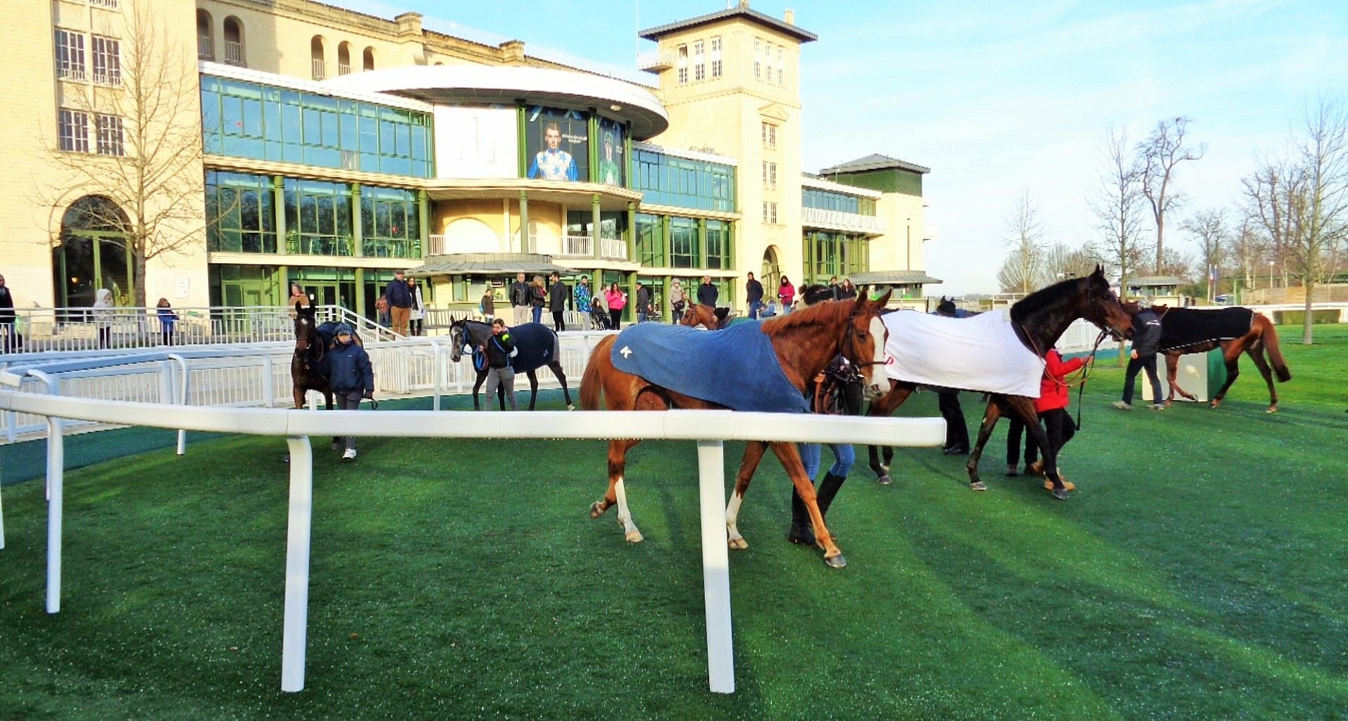Mes chevaux de légende. (série 1: les galopeurs)