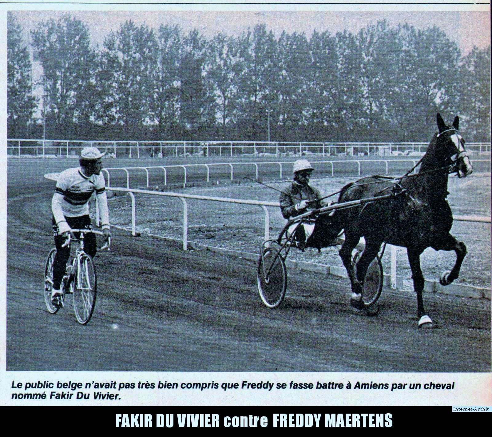 Mes chevaux de légende (série 2 : les Trotteurs)