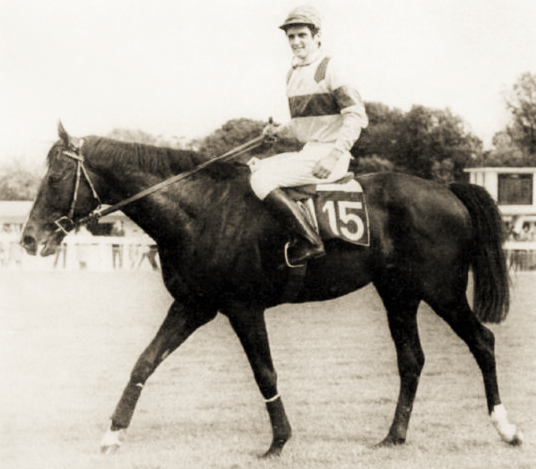 Mes chevaux de légende (série 3: les sauteurs)