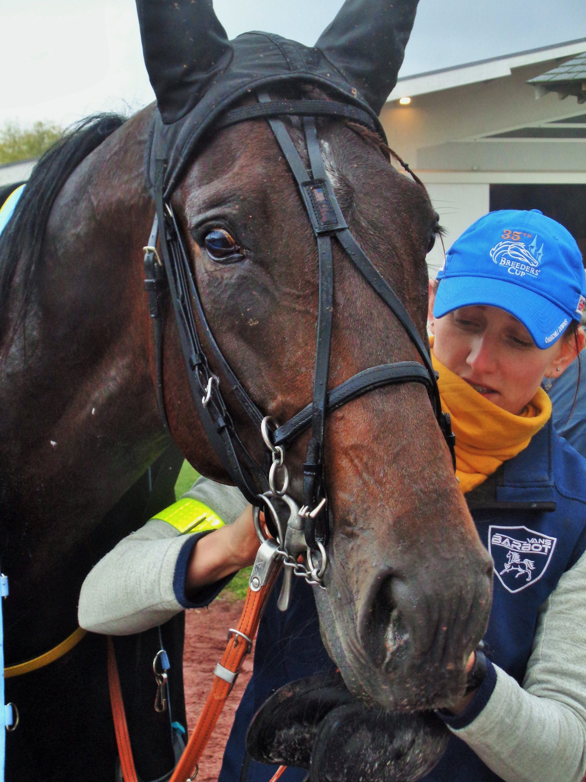 Réunion secrète à Chartres…