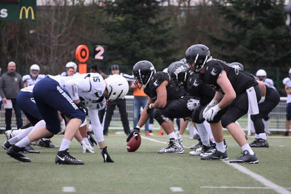 Les Ours de Toulouse, un club de football américain au pays du rugby