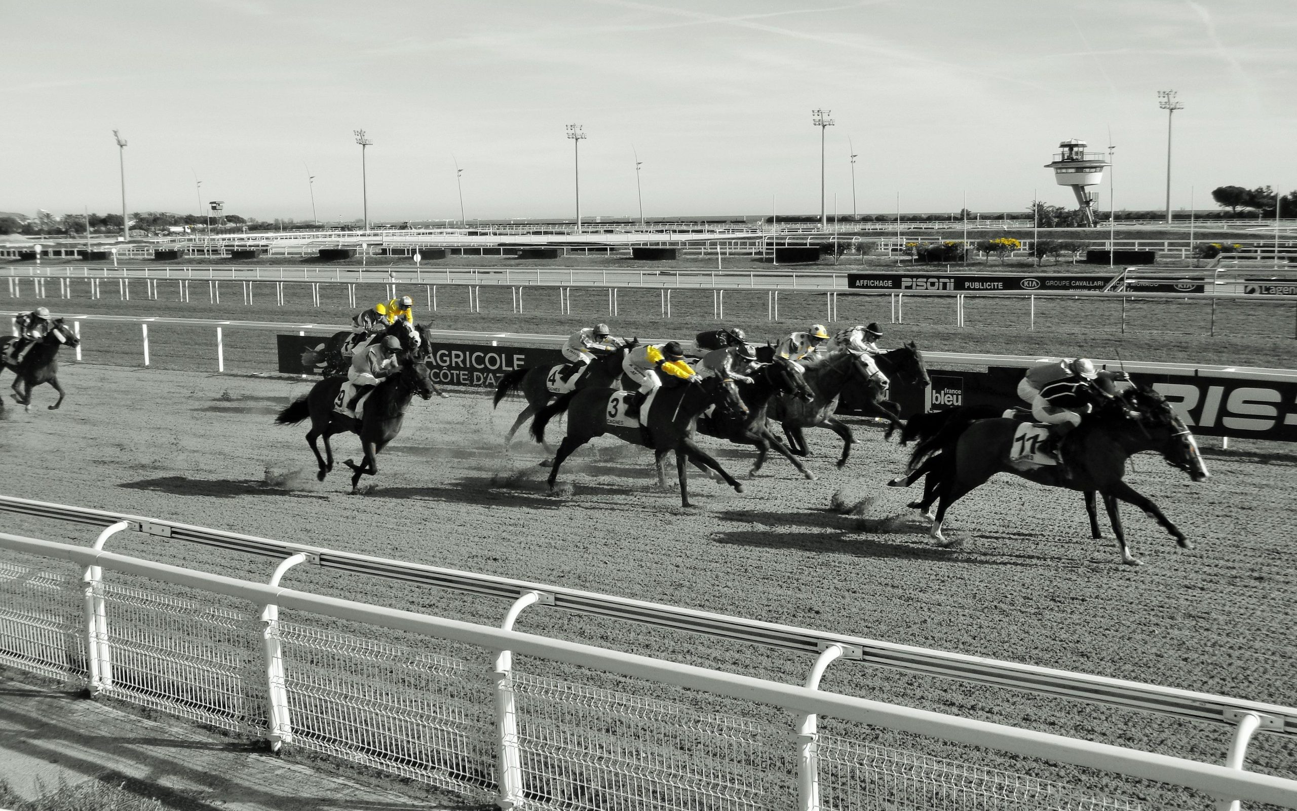 Une semaine qu’hippique: 23 Janvier au 29 janvier 2020