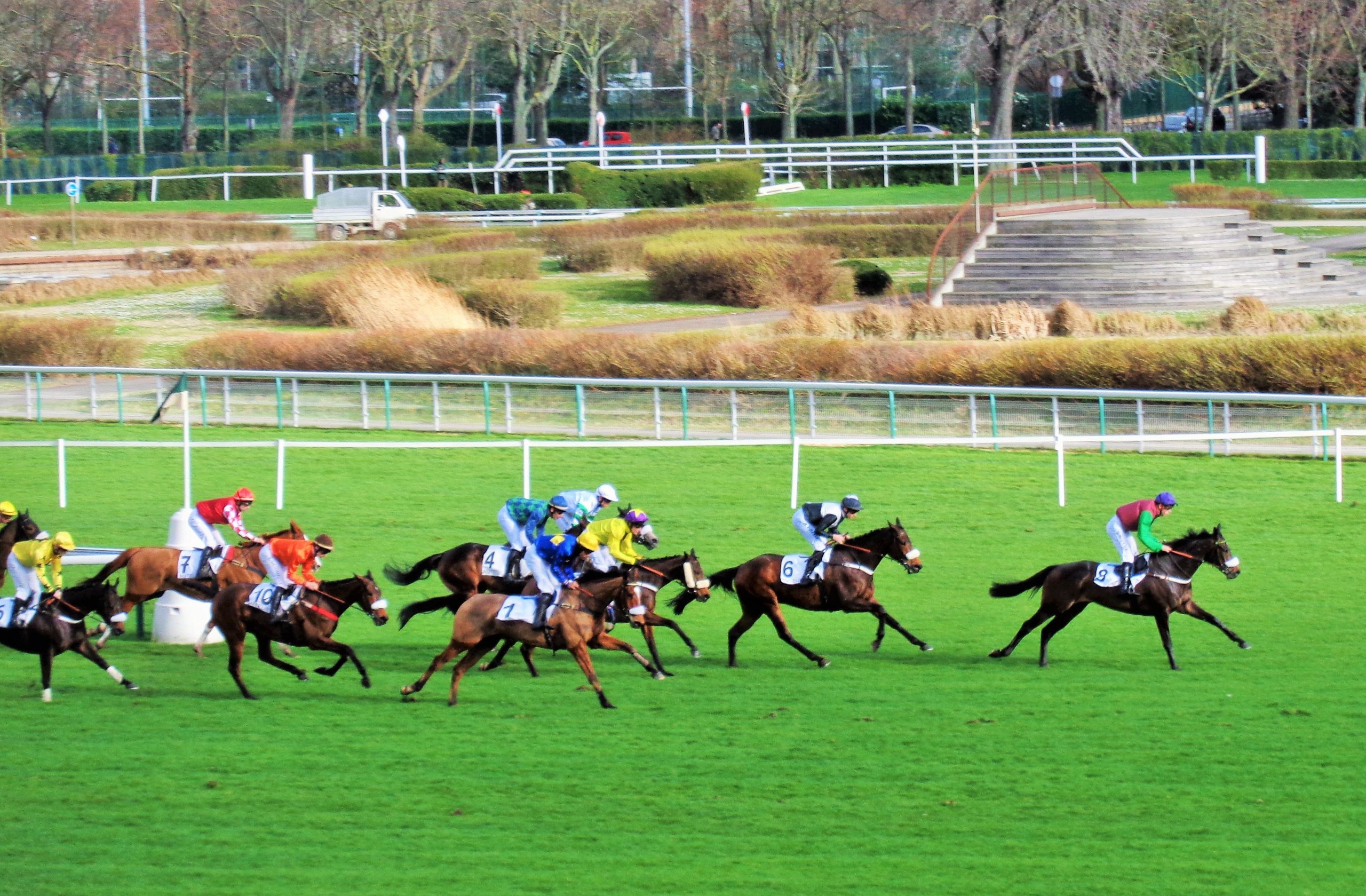 Une semaine “qu’hippique” : 20 février au 26 février 2020