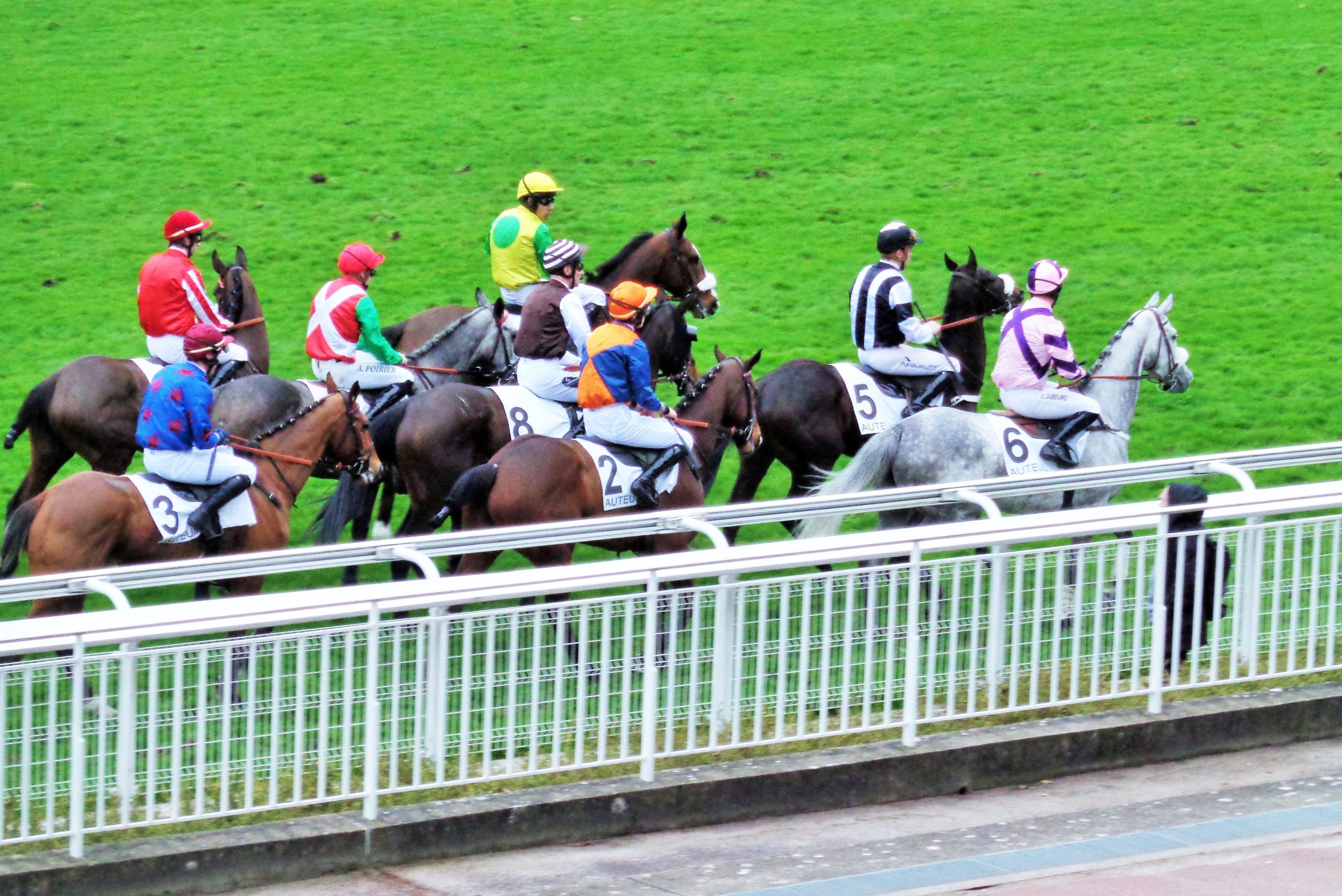 Une semaine “qu’hippique” : 05 mars au 11 mars 2020