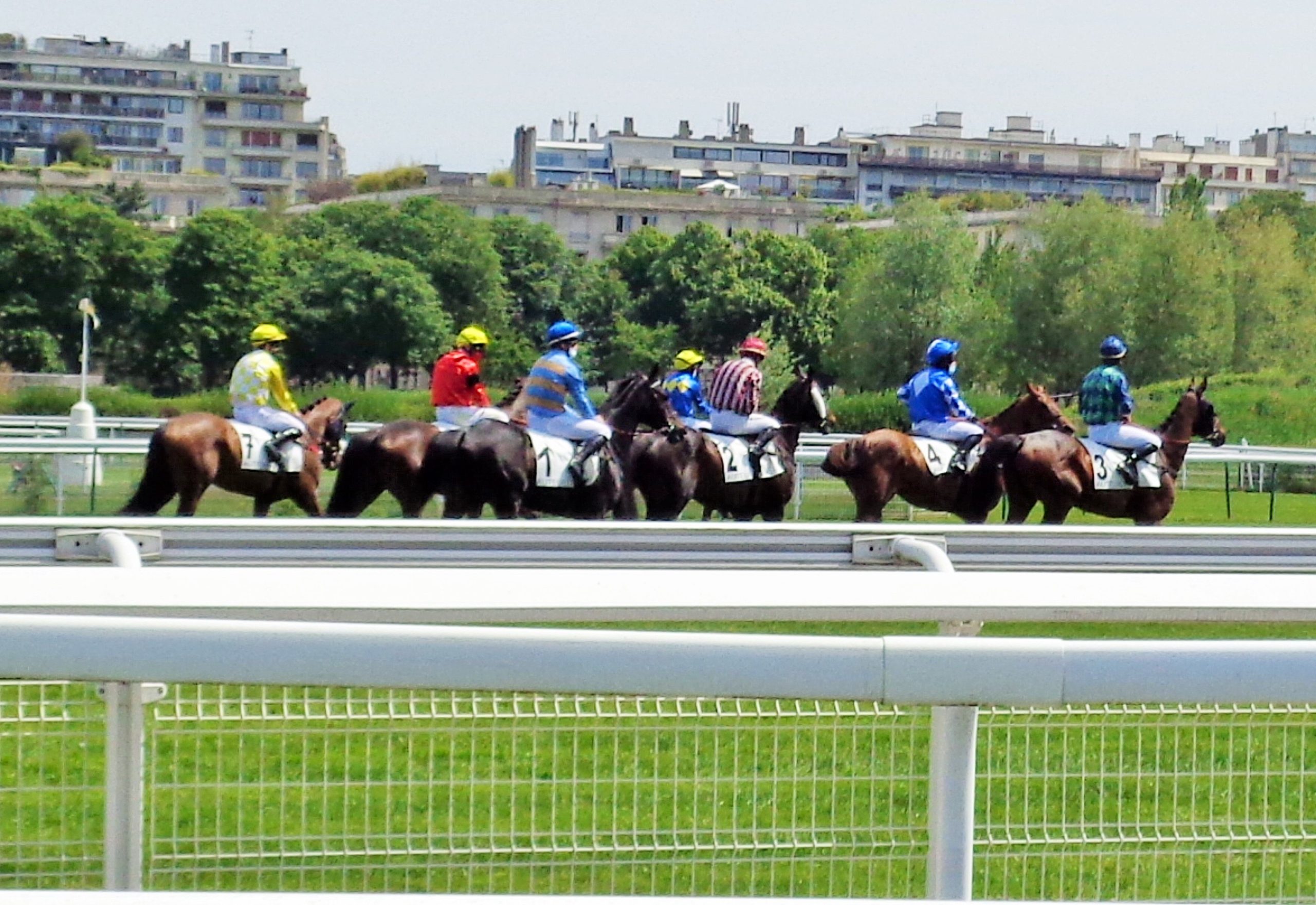 Prix Murat: Ebonite la bien nommée