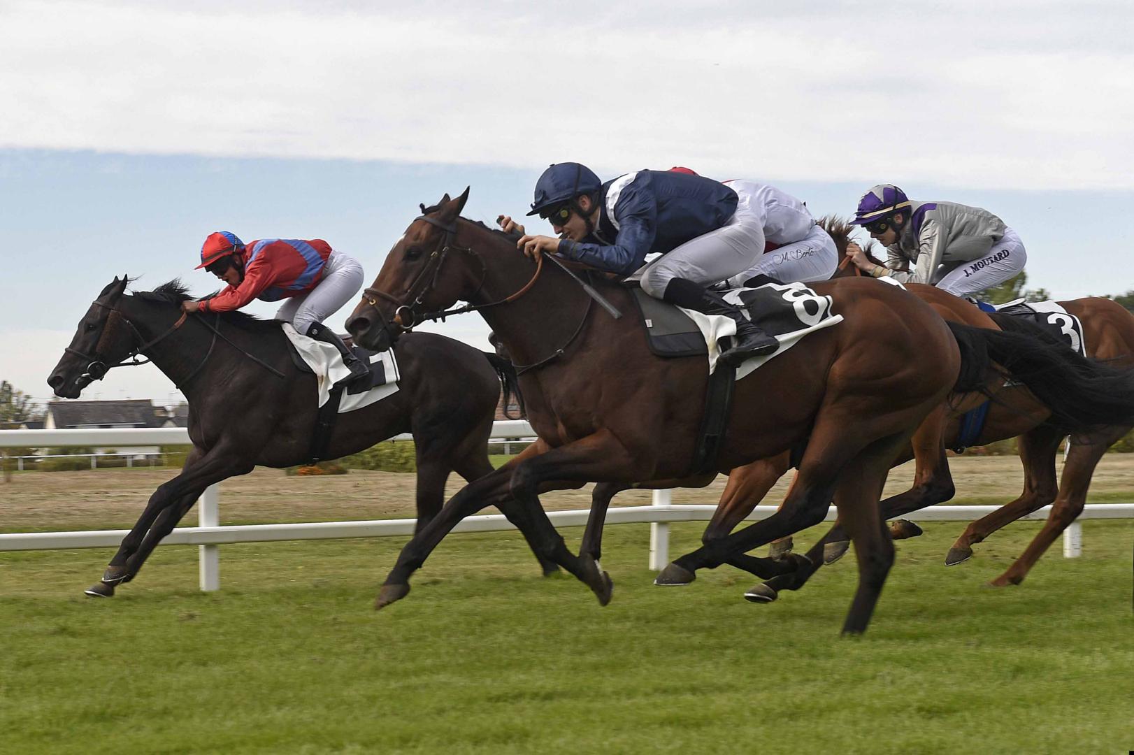 Jockeys : des sportifs de haut niveau, méconnus…