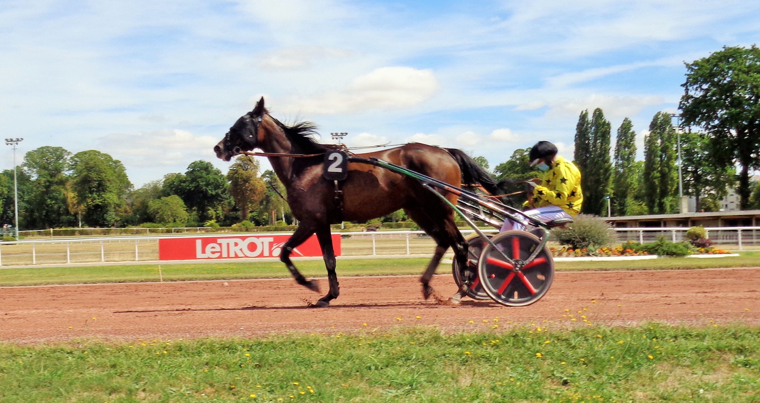 À la découverte de nouveaux talents du sport hippique (numéro 2)