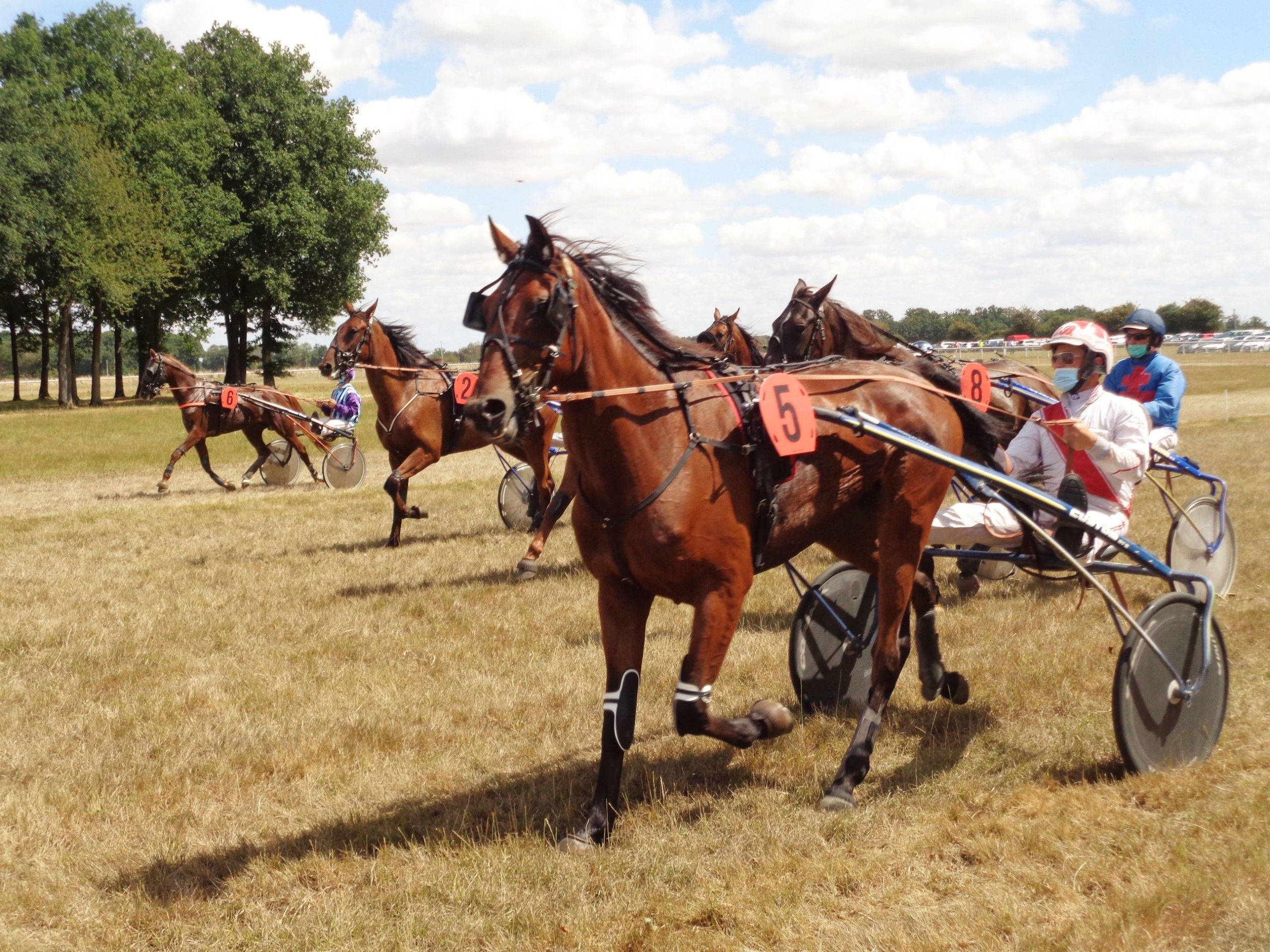 À la découverte de nouveaux talents du sport hippique (numéro 4 )