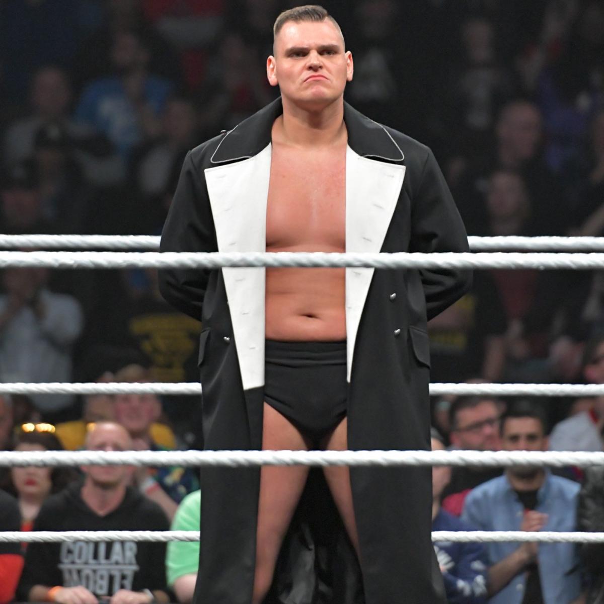 Walter : ” Finn Balor, Daniel Bryan et Cesaro seraient aujourd’hui les 3 combattants que j’aimerais affronter…”