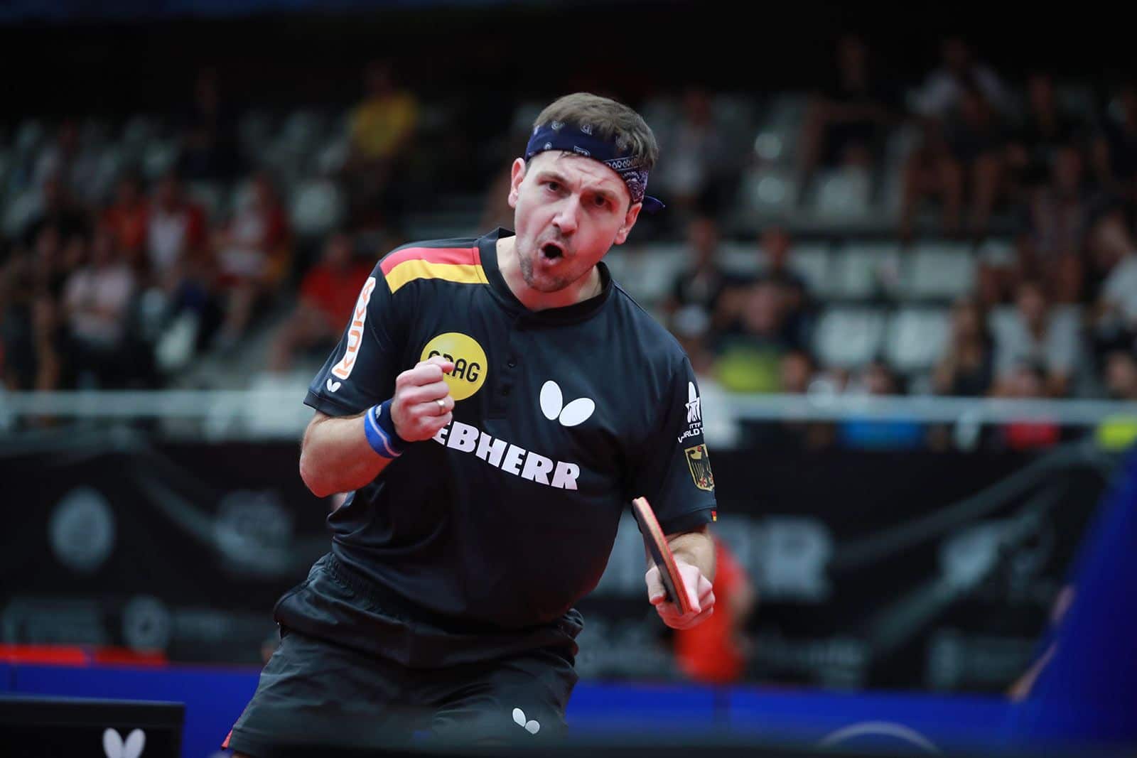 Championnats d’Europe ETTU : Timo Boll est immortel !