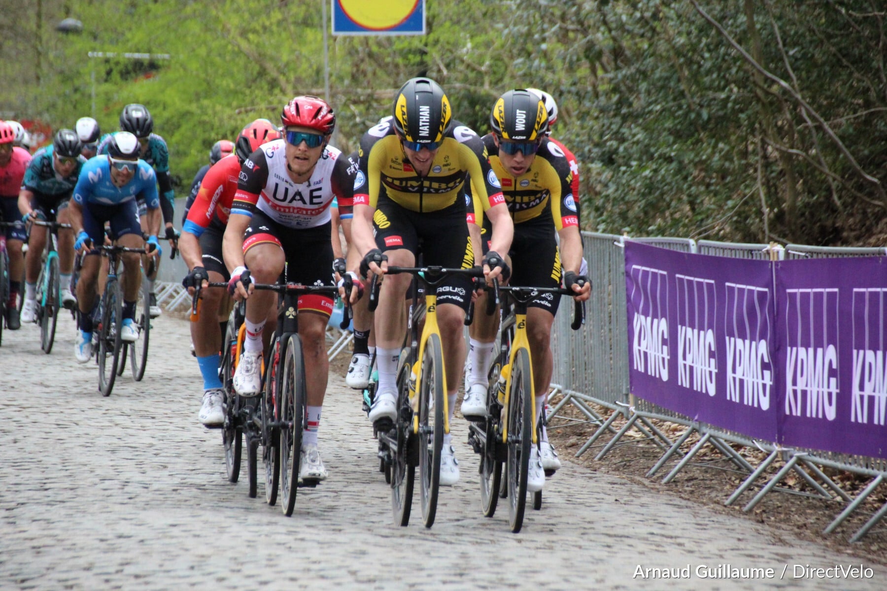 Présentation : Gent-Wevelgem