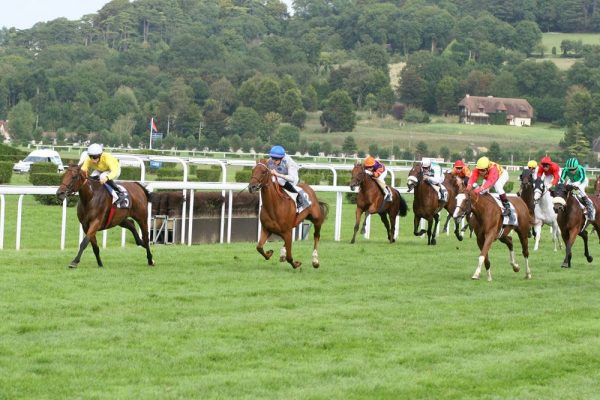 Pronostics Turf du 15/07/2022 : nos chevaux repérés pour Clairefontaine-Deauville (R5)