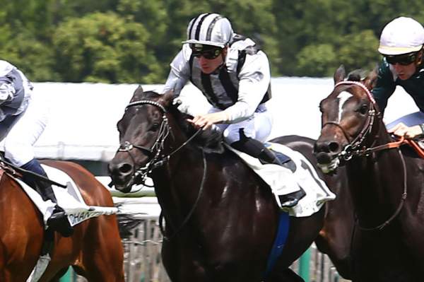 Pronostics Turf du 16/07/2022 : nos chevaux repérés pour Saint-Cloud (R4)