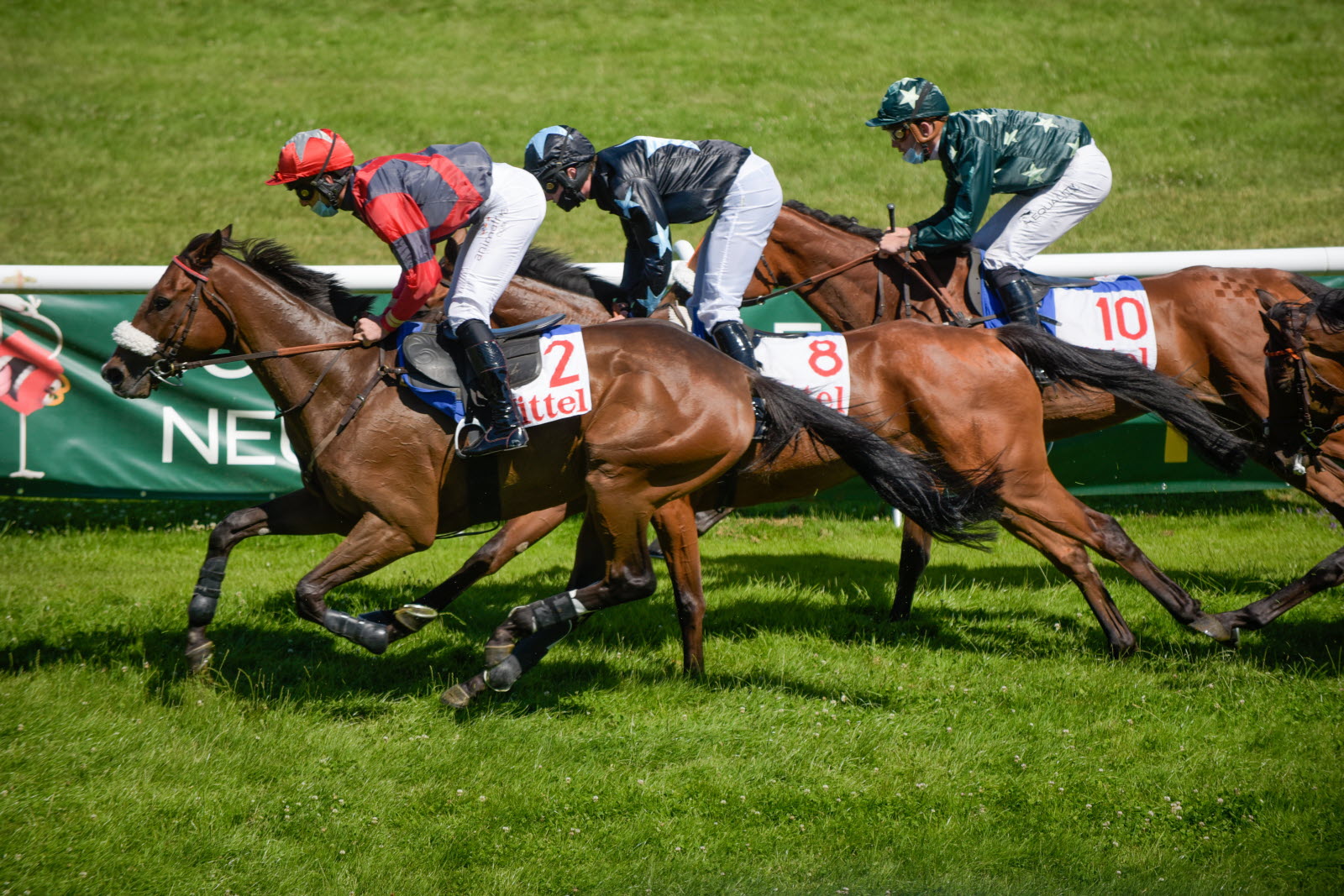 Turf : La vidéo d’une course coréenne fait le tour du monde