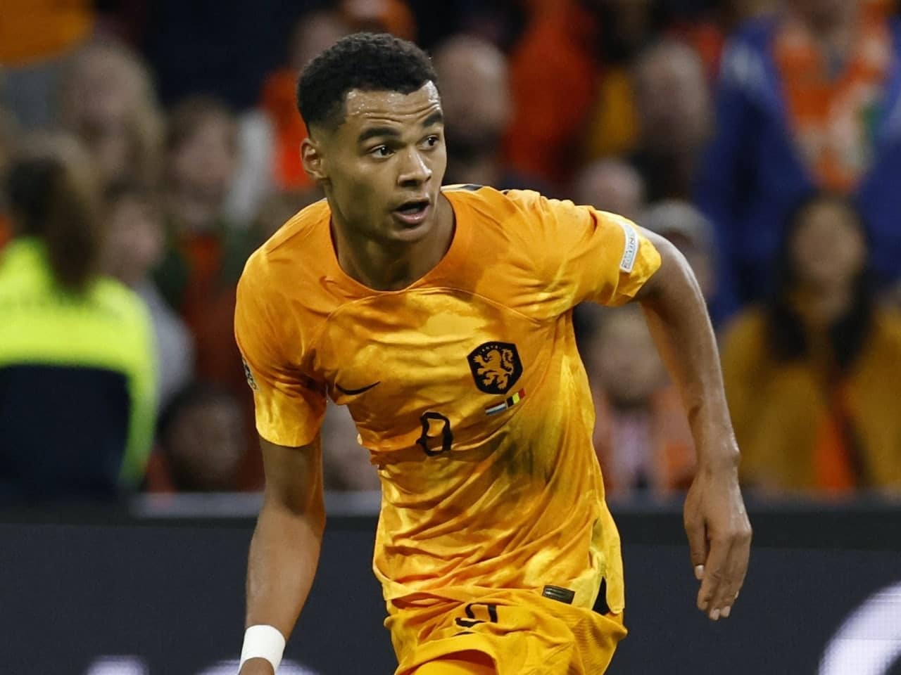 Coupe du Monde 2022 : Cody Gakpo, la nouvelle star néerlandaise