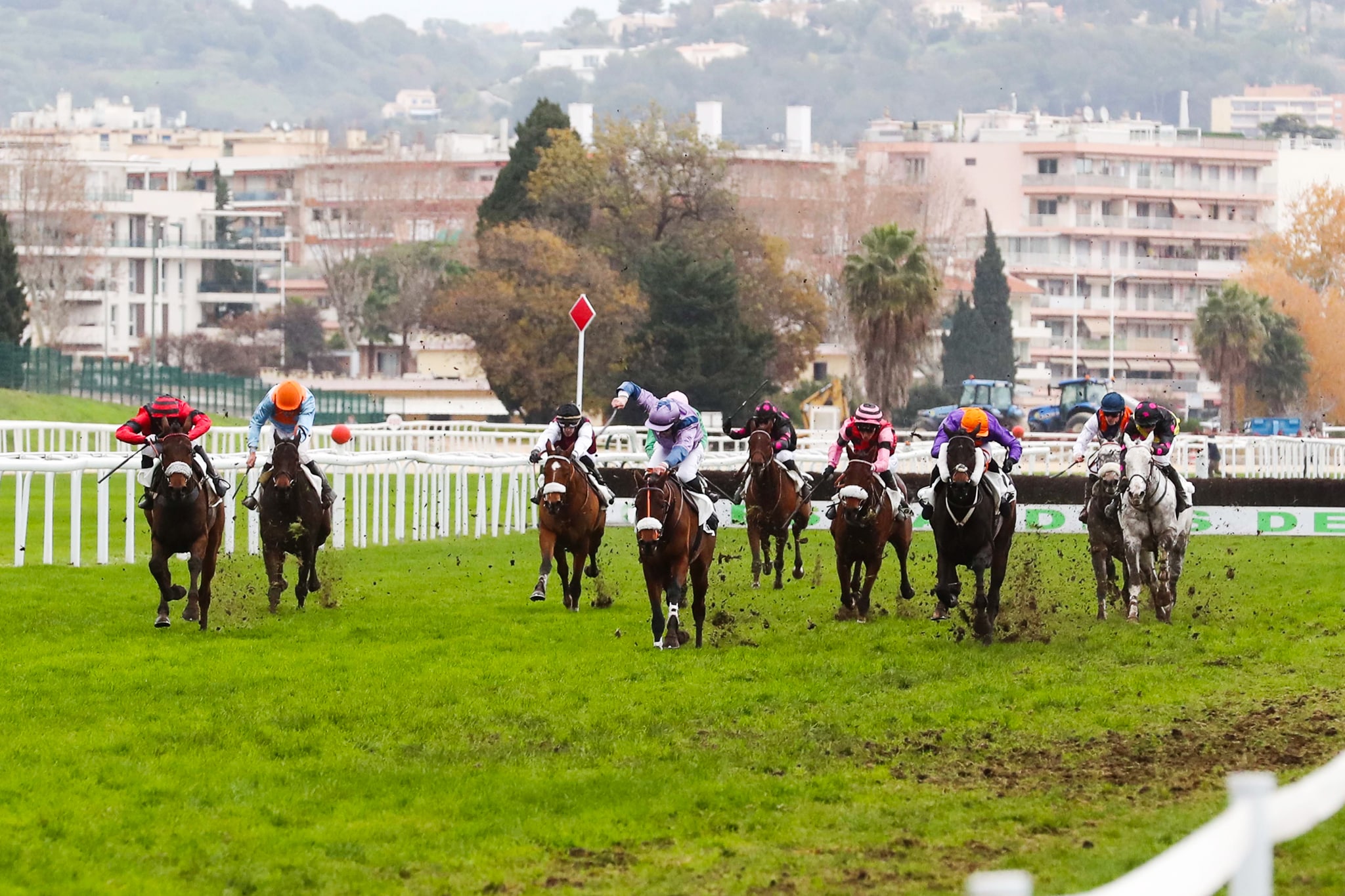 Quinté+ PMU : le pronostic de la rédaction sur la course du jour