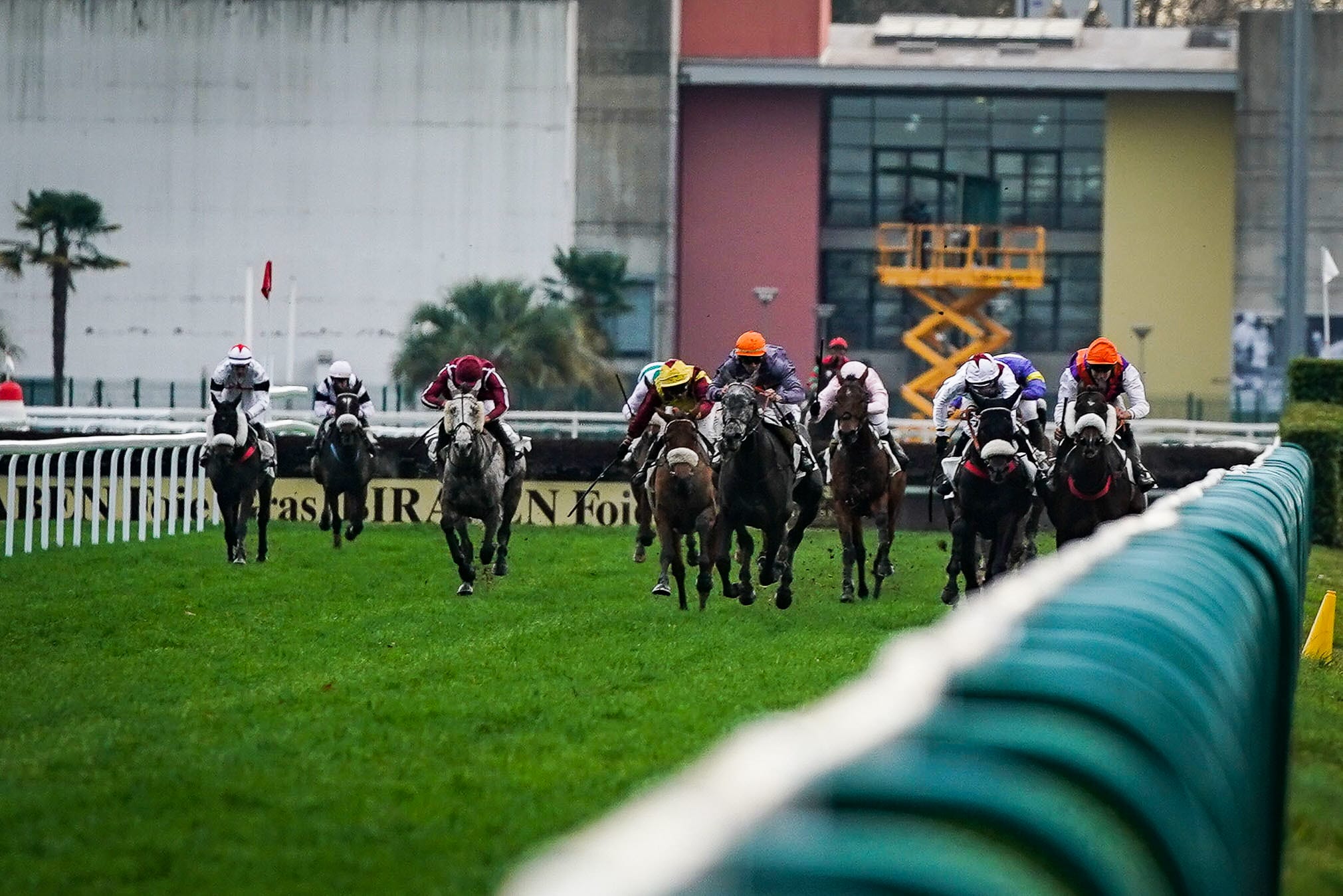 Quinté+ PMU : le pronostic de la rédaction sur la course du jour