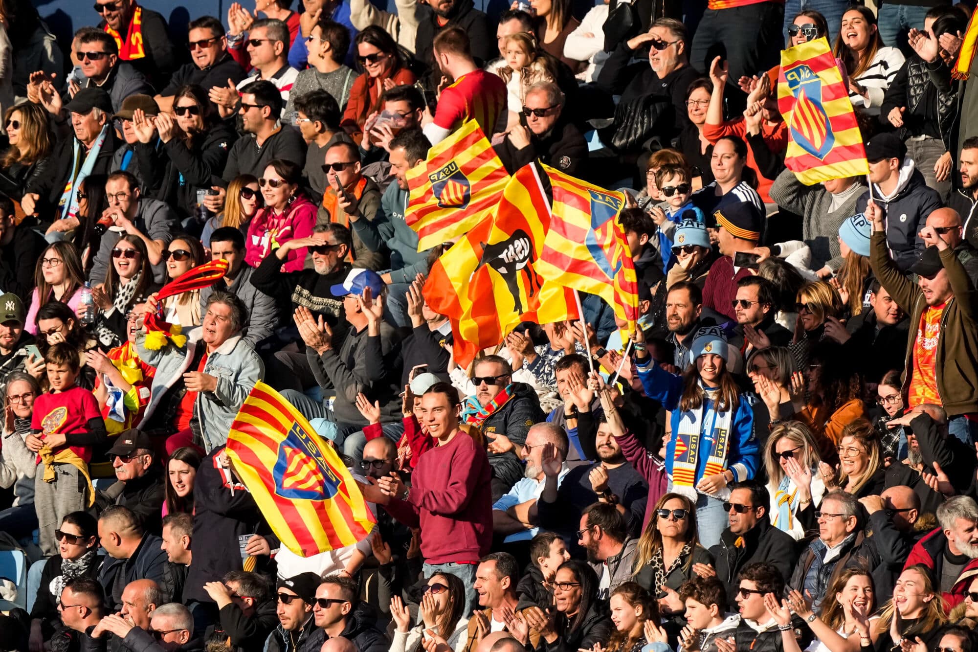 Top 14 : Perpignan tient son futur manager !