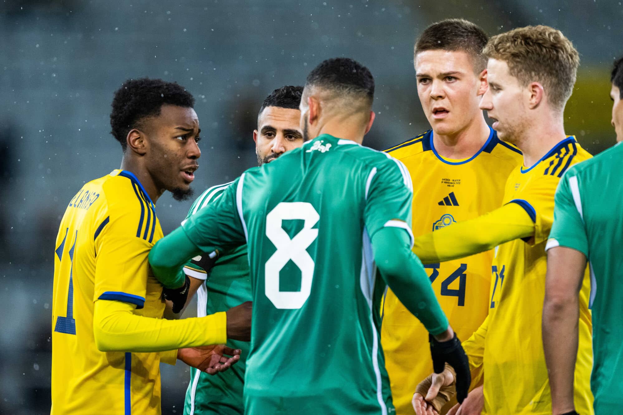 Mercato LOSC : un international algérien rentre au bercail (Officiel)