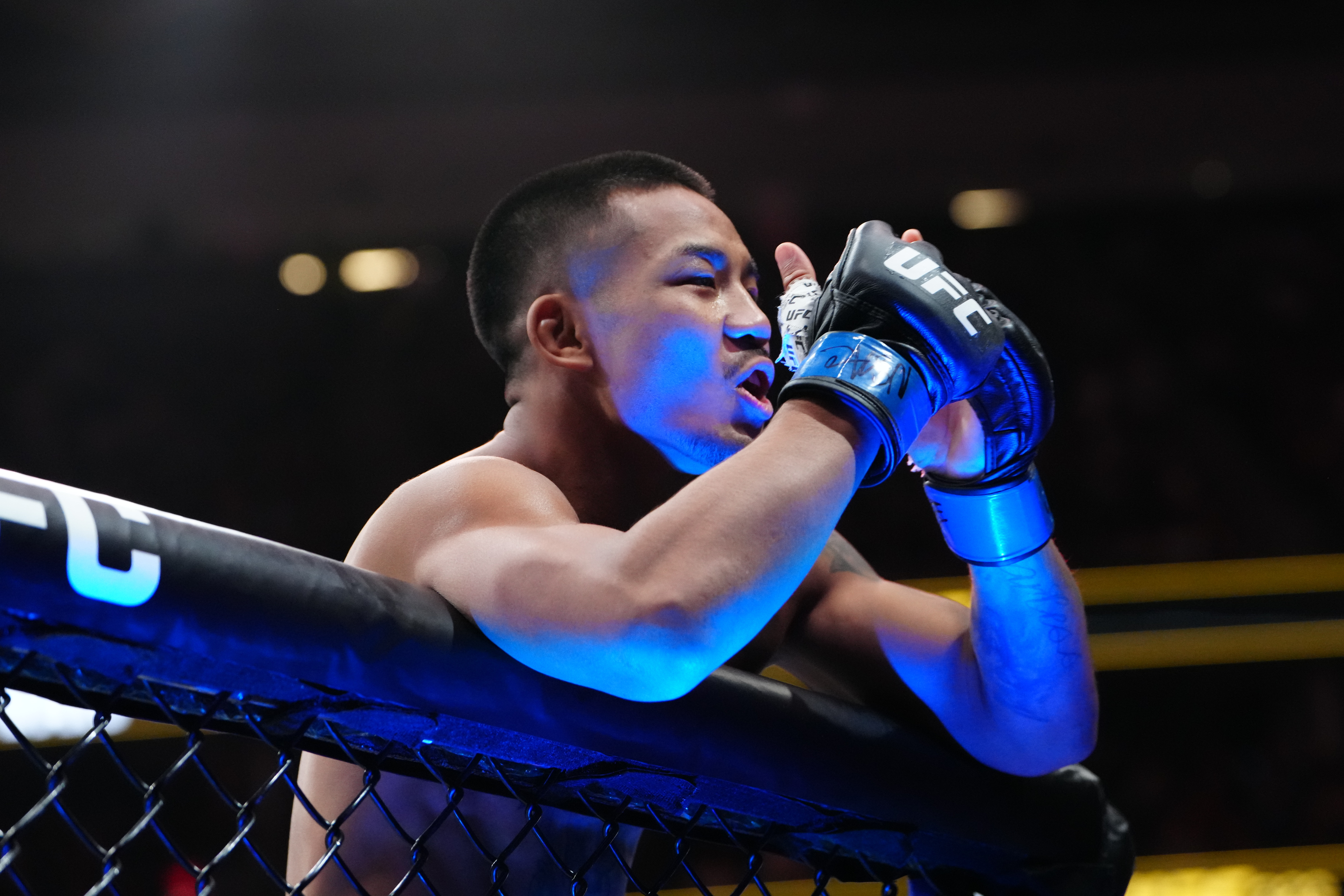 Classement UFC : les classements de chaque catégorie UFC